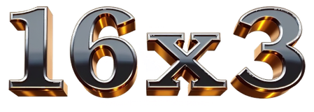 16x3 logo